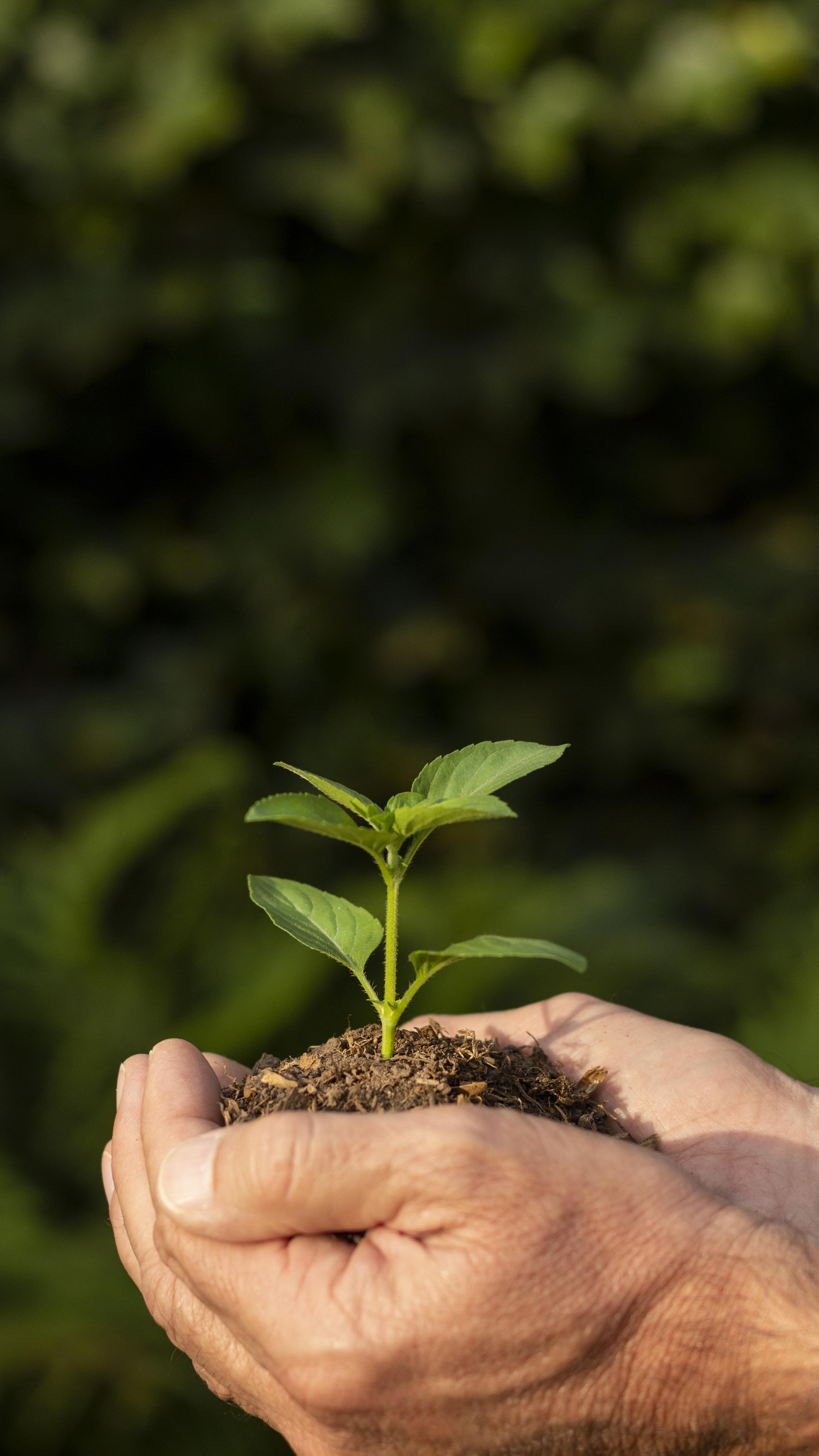 Sustentabilidade Brasquímica
